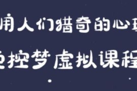 最新小众项目，利用人们猎奇的心理卖控梦虚拟课程，0 基础小白也能轻松日入500＋