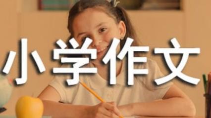 学而思小学作文全套（视频），小学阶段的家长们看看