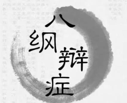 八纲辨证：倪海厦（全17讲·完整版）
