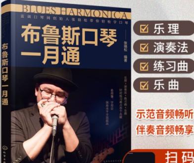 张晓松 布鲁斯口琴教学视频 10讲百度网盘下载 口琴 第1张