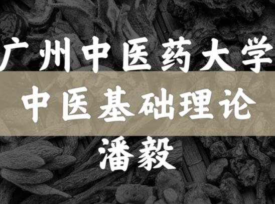 【潘毅】中医基础理论123讲（14G完整版）