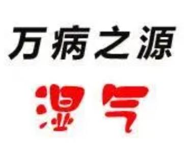 唐海成唐氏古中医：六合除湿疗法一期