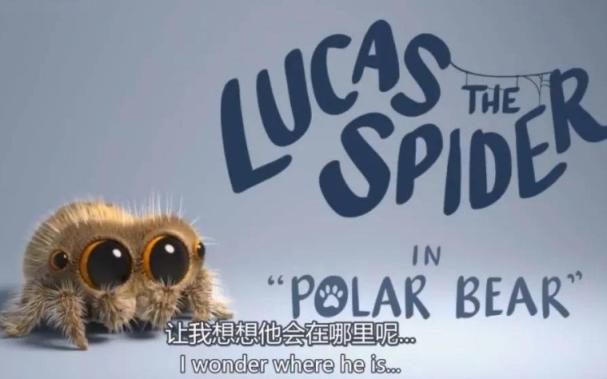 网红小蜘蛛卢卡斯《Lucas the Spider》24集+All The Shorts中英文动画视频 英语启蒙