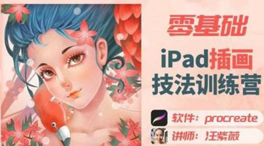 汪紫薇零基础IPAD插画技法实训 百度网盘下载