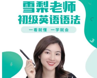 【完结】雪梨初级英语语法课【完结】雪梨老师新概念英语一
