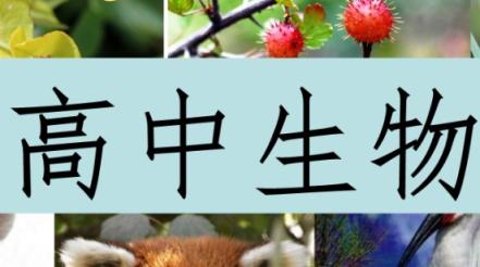 2024高二生物 陈旭晨 下学期 百度云网盘 高中生物 第1张